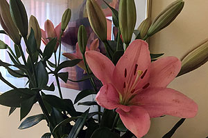 Wochend Special - City Hotel Düsseldorf Wochend Special - City Hotel Düsseldorf